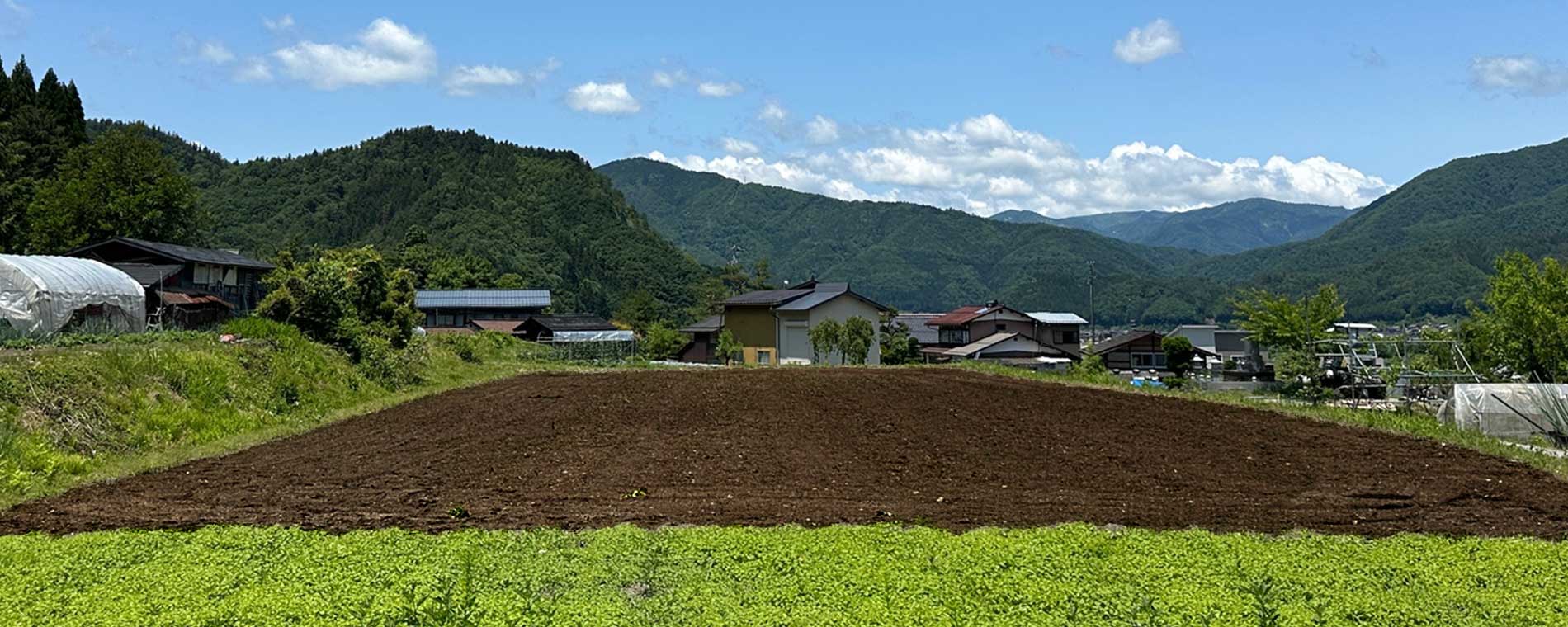 豊かな畑