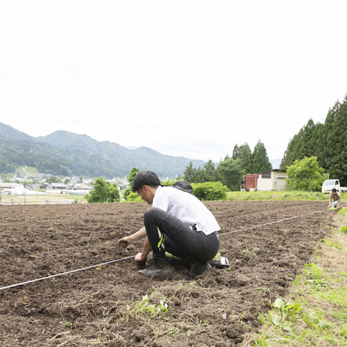 植え付け３